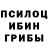 Псилоцибиновые грибы мухоморы mr. Dack