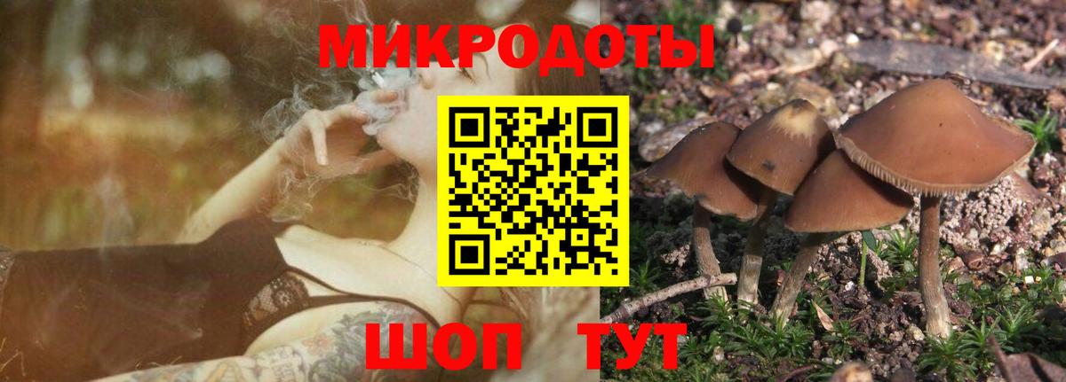 Псилоцибиновые грибы Psilocybe  Галлюциногенные грибы прущие грибы  Ишим  Вход с VPN 